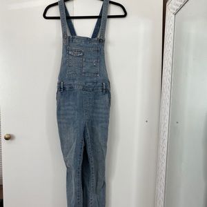 Free People denim overalls